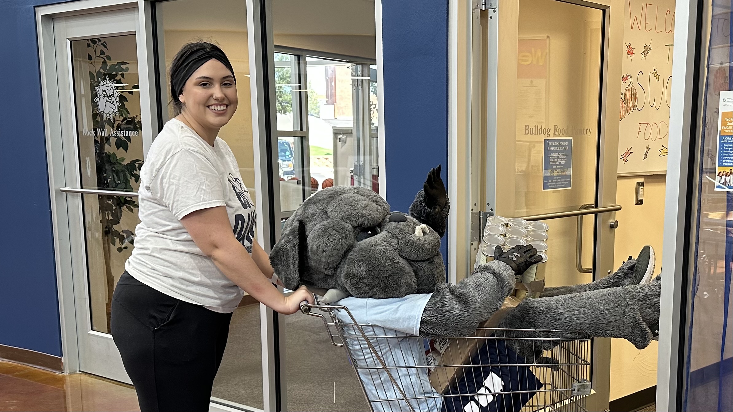 Bulldog in a shopping cart