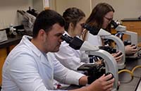 students looking in microscopes