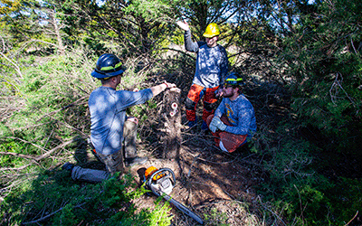 Students using a chainsaw outdoors